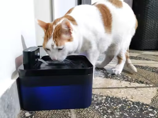 2.2L Wireless Cat Water Fountain with Sensor