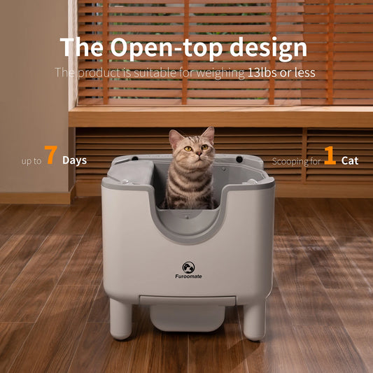 Open-Top Self-Cleaning Cat Litter Box