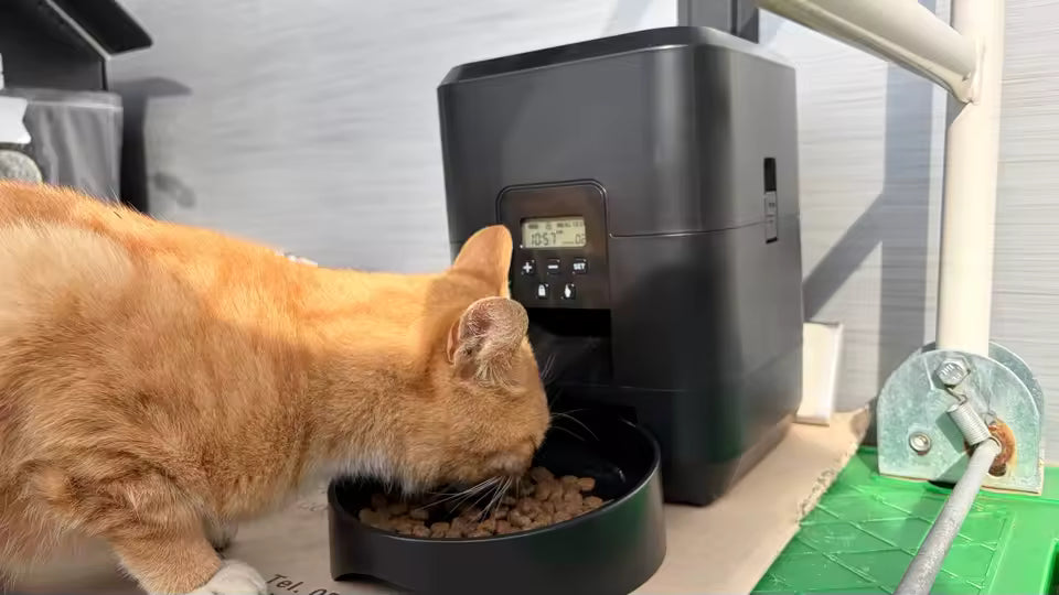 2L Automatic Cat Feeder with Wi-Fi and Camera