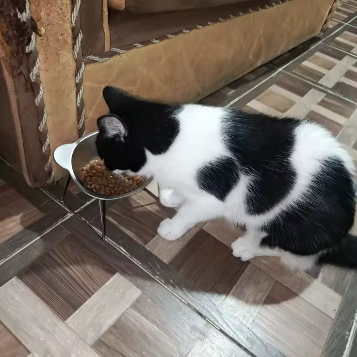 15° Raised Stainless Steel Cat Bowl
