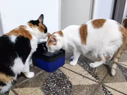 2.2L Wireless Cat Water Fountain with Sensor