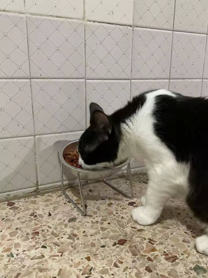 15° Raised Stainless Steel Cat Bowl