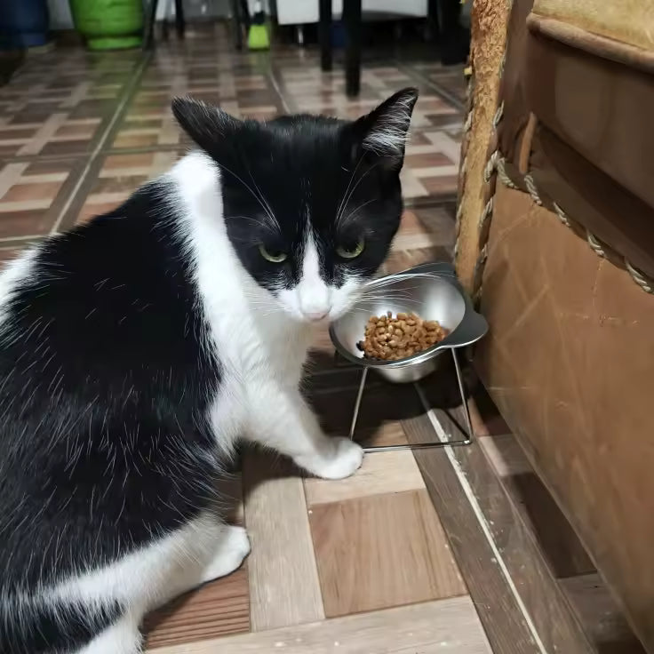 15° Raised Stainless Steel Cat Bowl