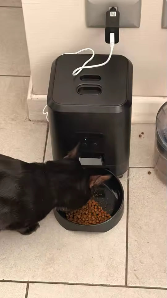 2L Automatic Cat Feeder with Wi-Fi or Button Control