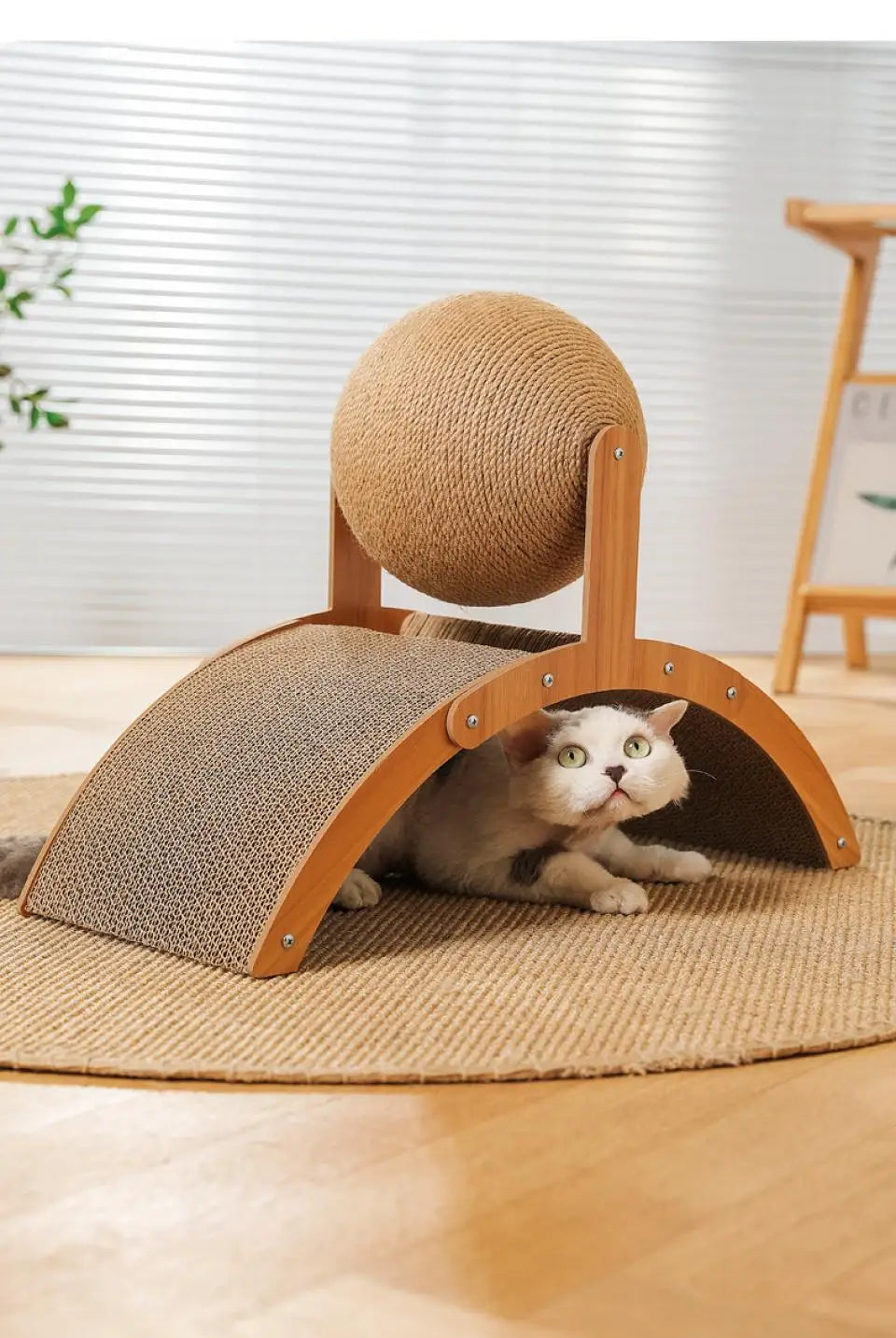 Ferris Wheel Cat Scratcher
