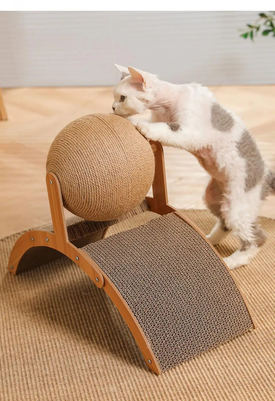Ferris Wheel Cat Scratcher