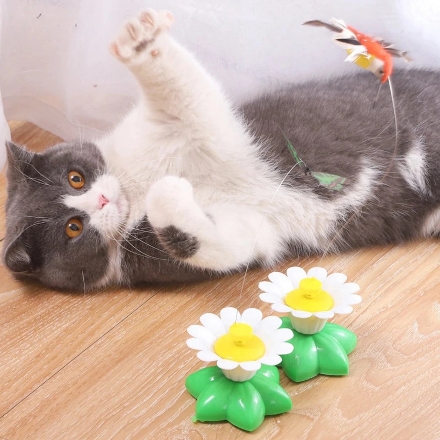 Spinning Hummingbird Cat Teaser