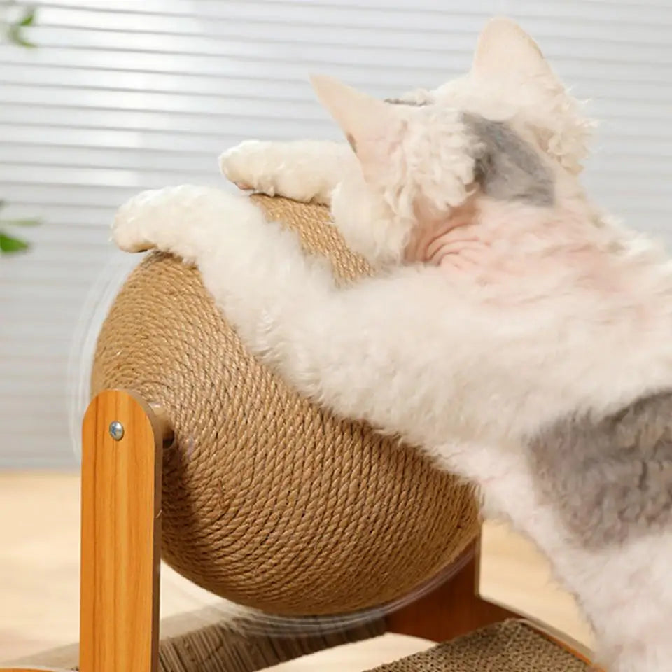 Ferris Wheel Cat Scratcher