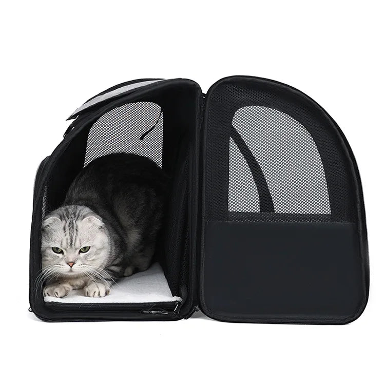 Expandable Mesh Cat Backpack Carrier