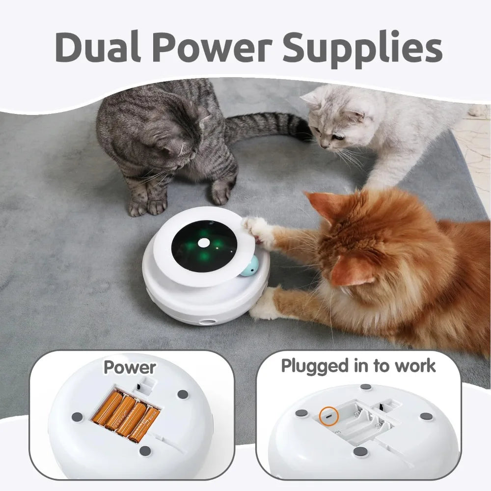 2-in-1 Cat Toy with Ball and Feather