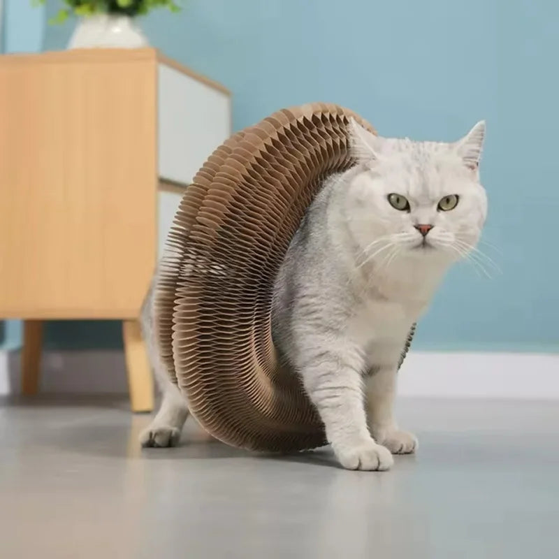 Round Cat Scratch Board with Ball