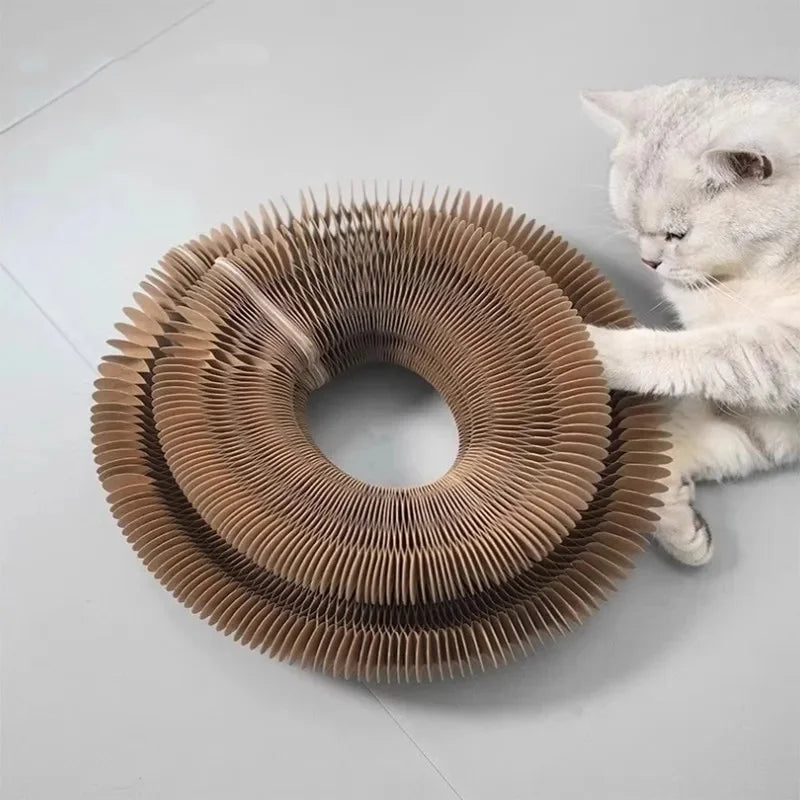 Round Cat Scratch Board with Ball