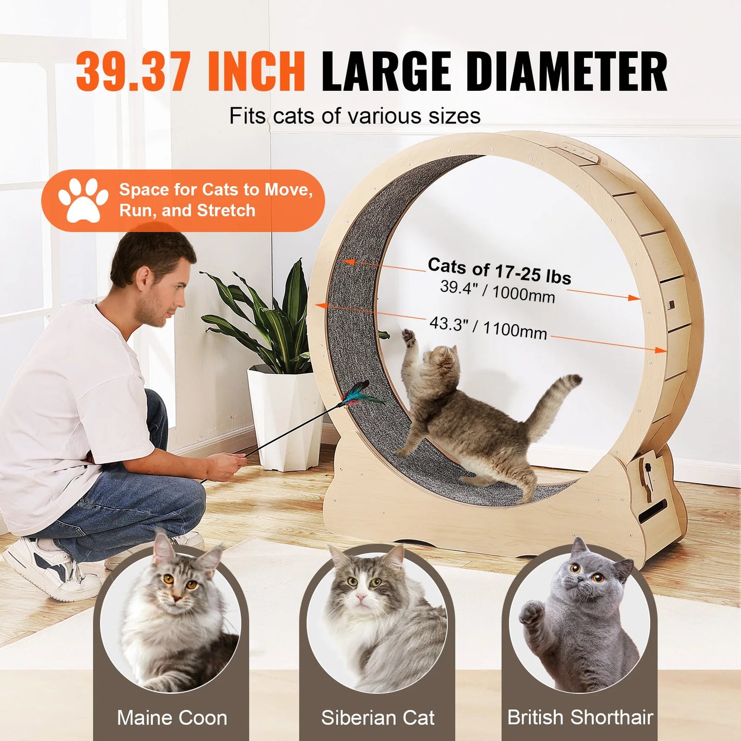 Cat Treadmill Exercise Wheel