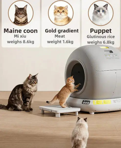 Fully Enclosed Smart Cat Litter Box
