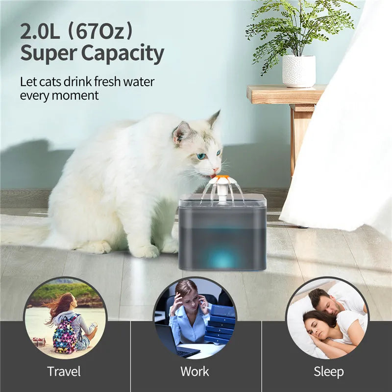 2L LED Cat Flower Water Fountain