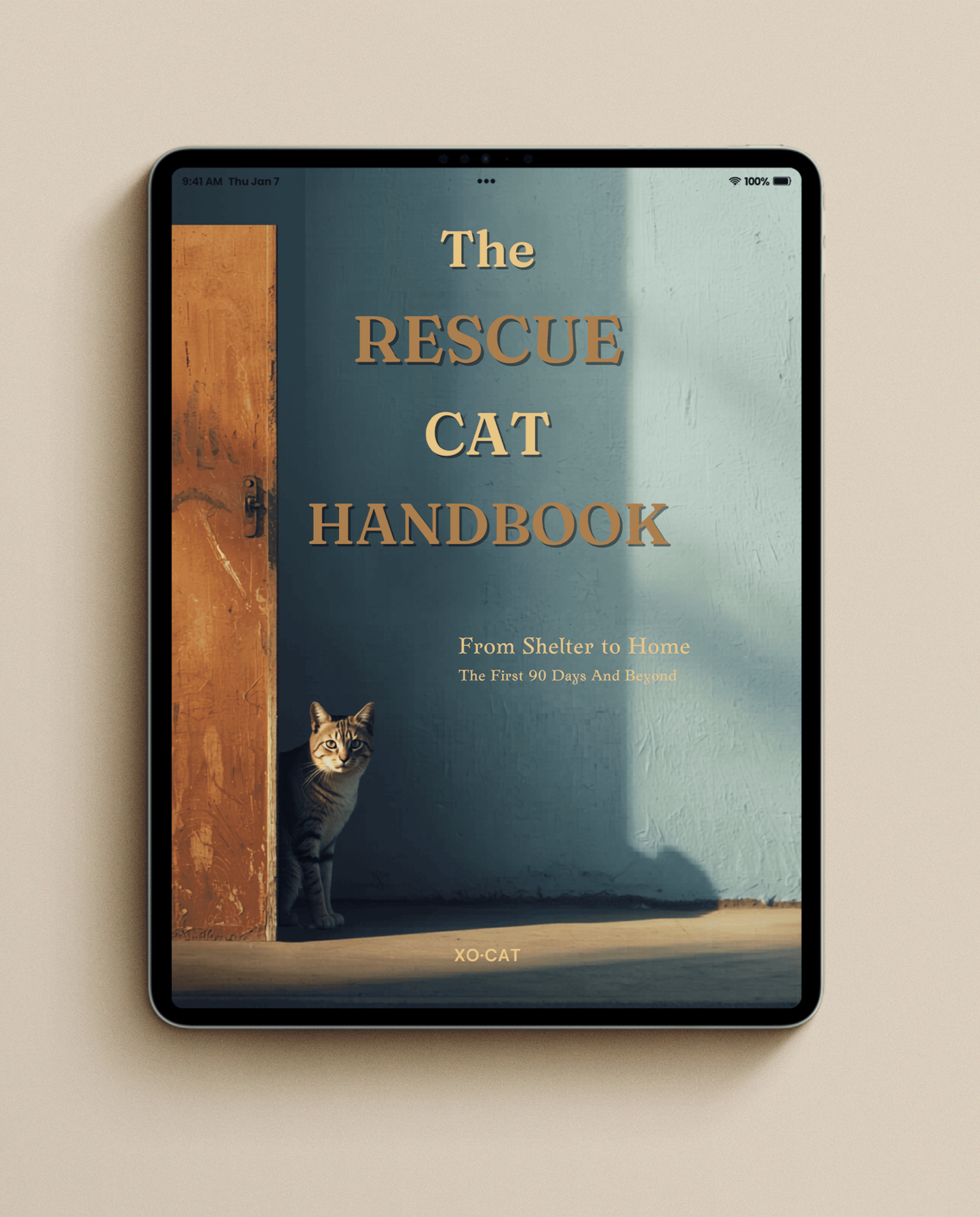 The Rescue Cat Handbook – eBook
