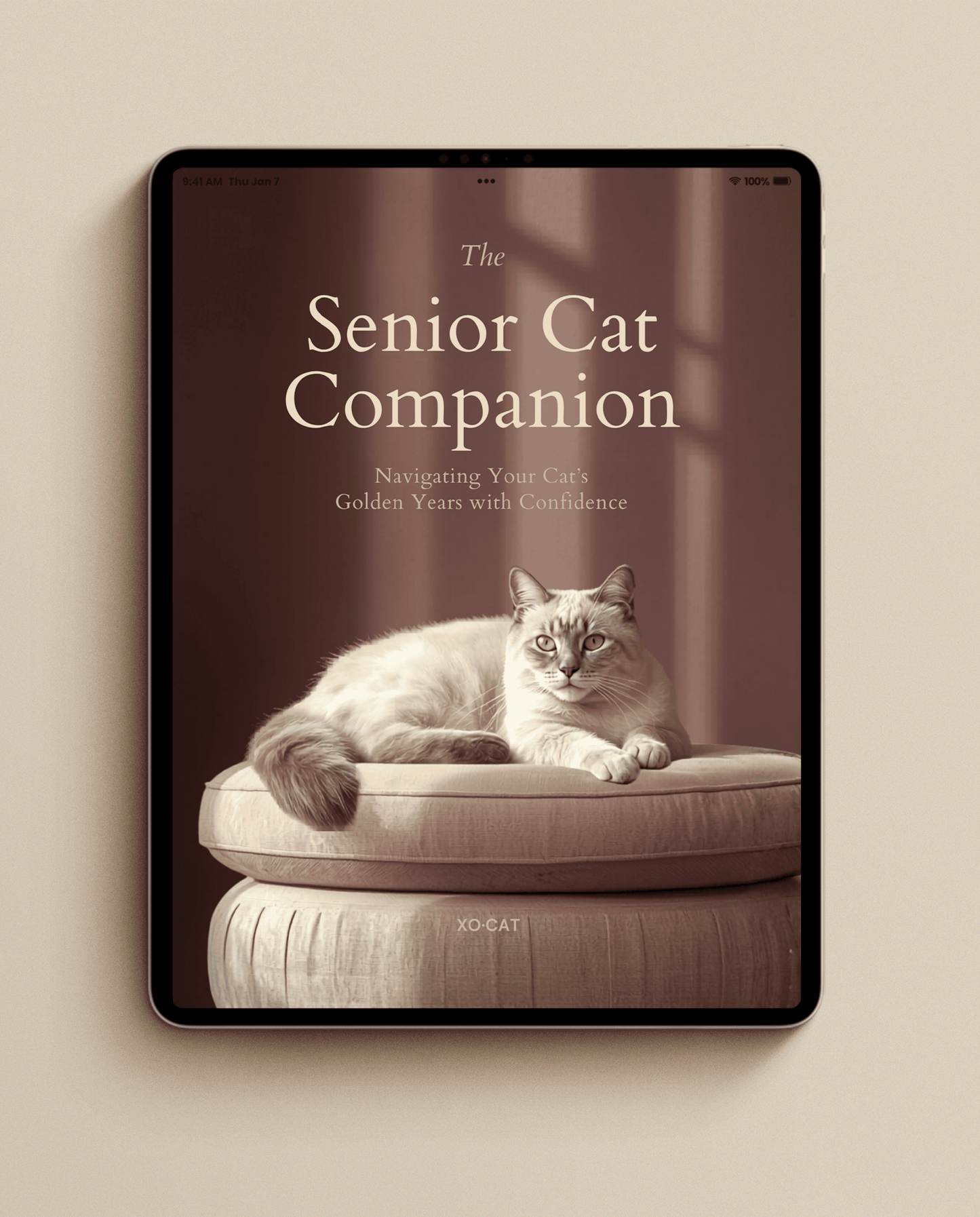 The Senior Cat Companion – eBook