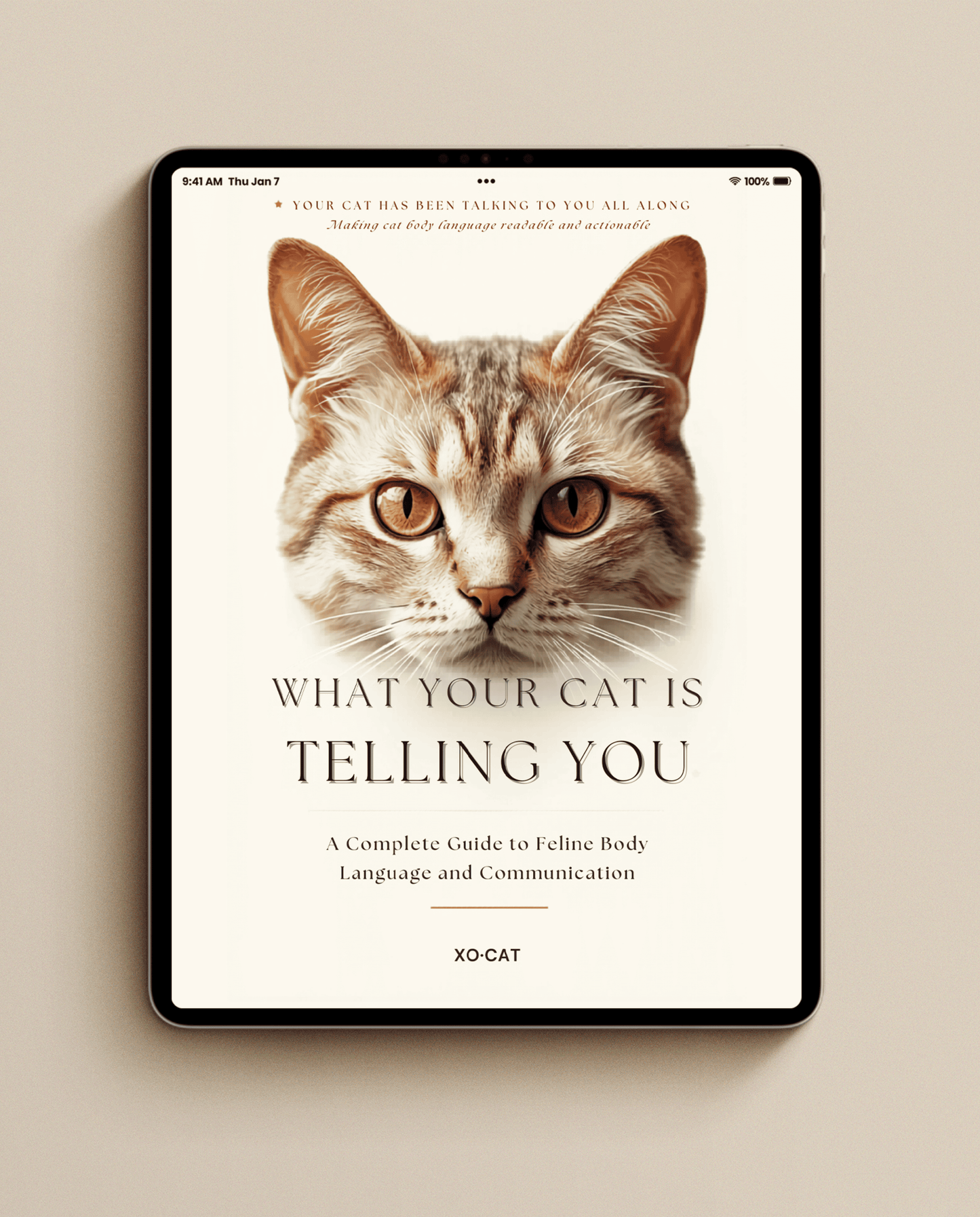 What Your Cat Is Telling You – eBook